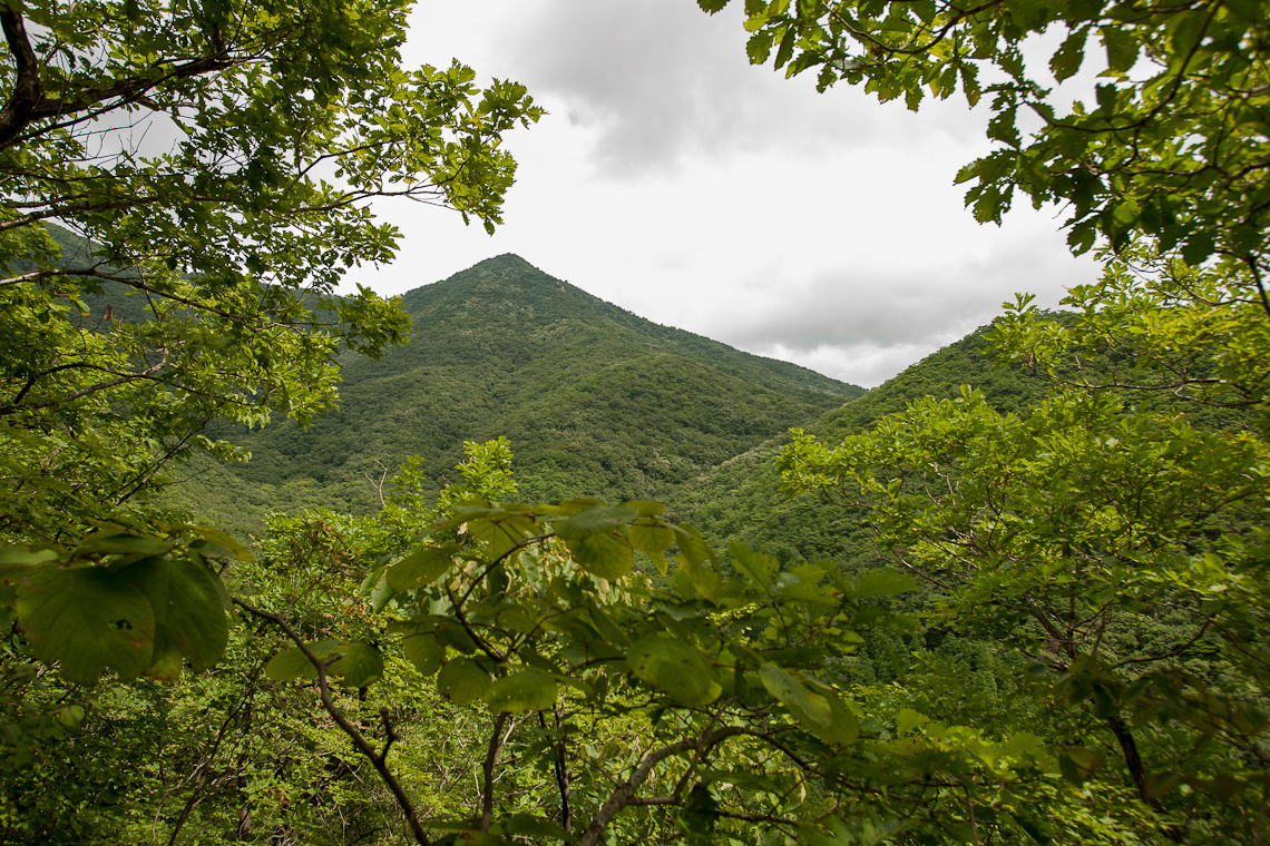 Daewoon Mtn 6 / 22