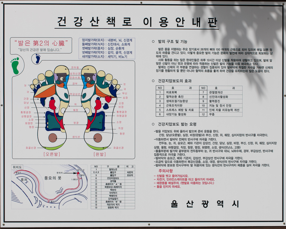Ulsan Grand Park 14 / 36