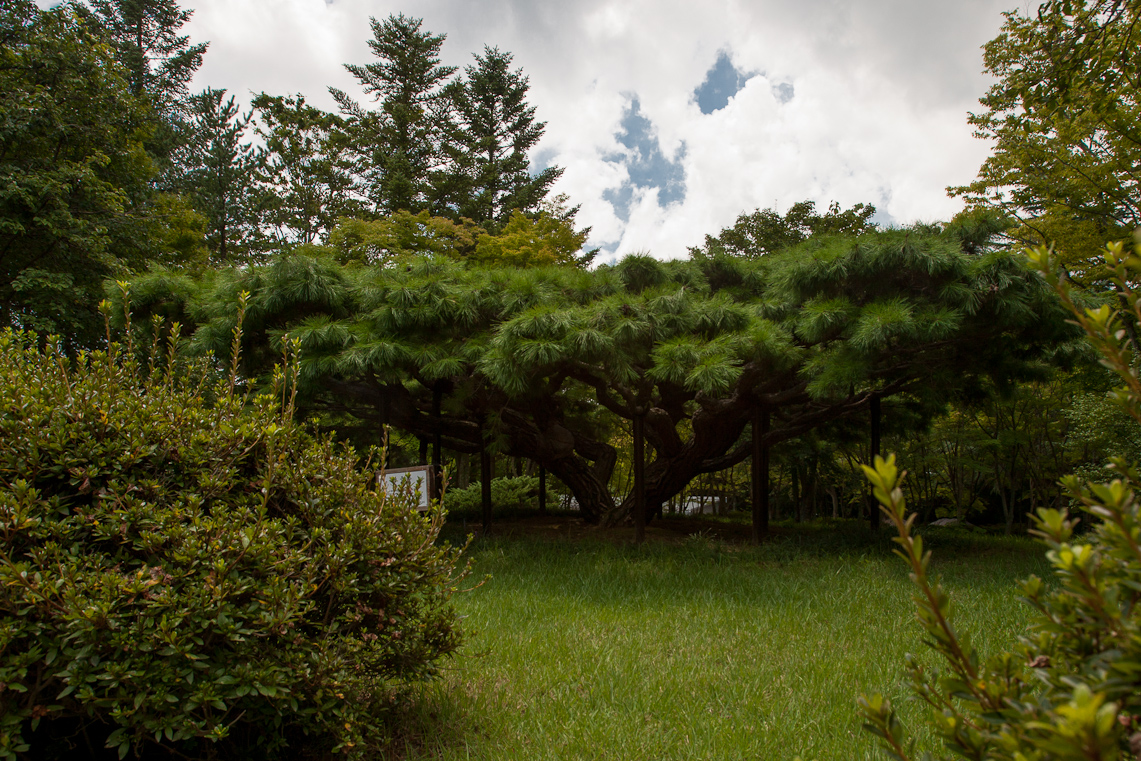 Gyeongju 30 / 33